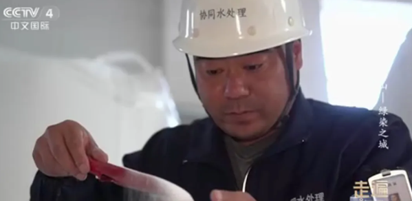 1770337343642.png 974e9006-6658-44eb-8854-92f878685148.png